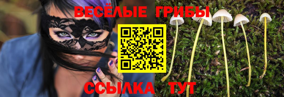 Псилоцибиновые грибы прущие грибы Еманжелинск