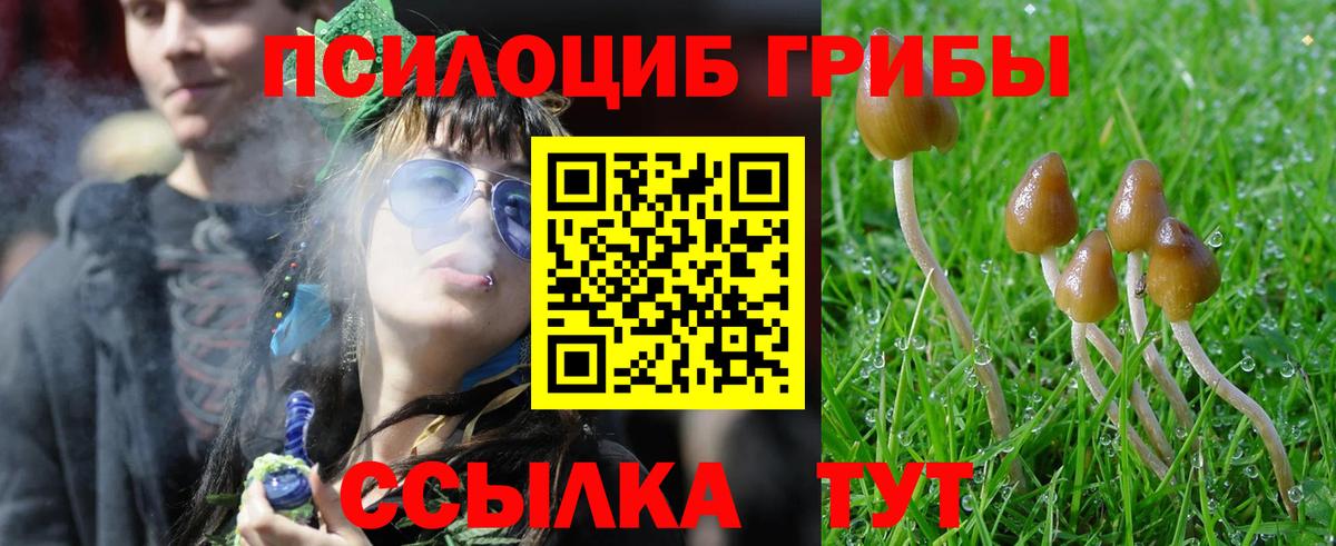 Галлюциногенные грибы мицелий  Вход с VPN  Еманжелинск 